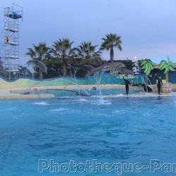 Marineland - Dauphins - spectacle