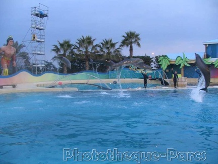 Marineland Antibes - 025