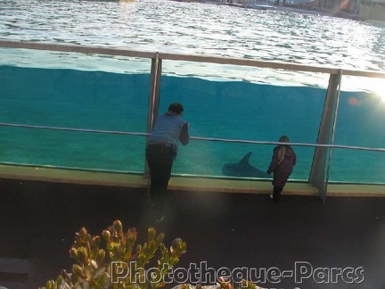 Marineland Antibes - 002