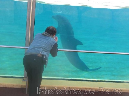 Marineland Antibes - 003