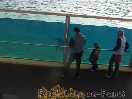 Marineland Antibes - 004