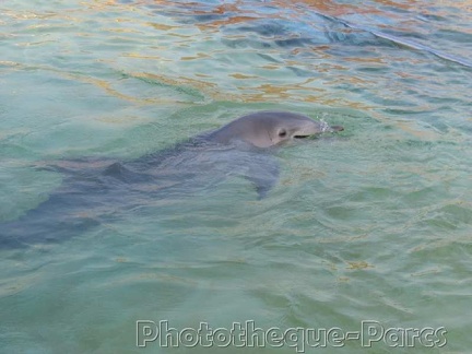 Marineland Antibes - 005