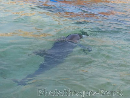 Marineland Antibes - 006