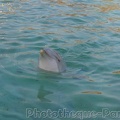 Marineland Antibes - 007