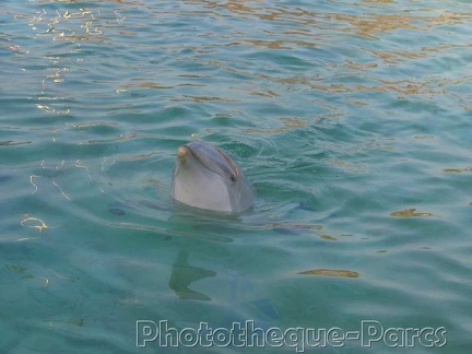 Marineland Antibes - 007