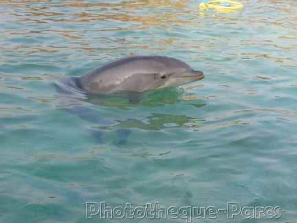 Marineland Antibes - 008