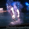 Marineland Antibes - 034