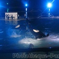 Marineland Antibes - 035