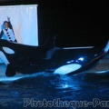 Marineland Antibes - 039