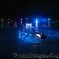 Marineland Antibes - 043