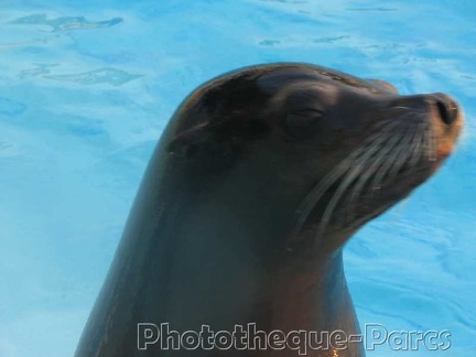 Marineland Antibes - 001