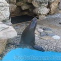 Marineland Antibes - 004