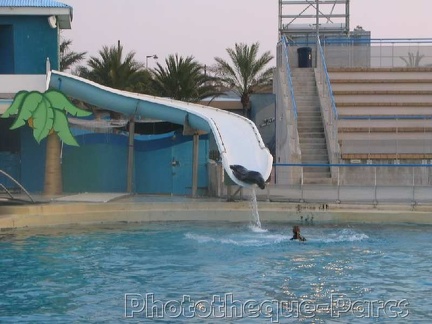 Marineland Antibes - 001