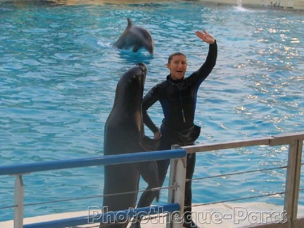 Marineland Antibes - 002