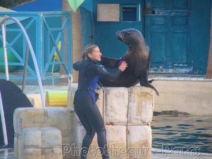 Marineland Antibes - 004