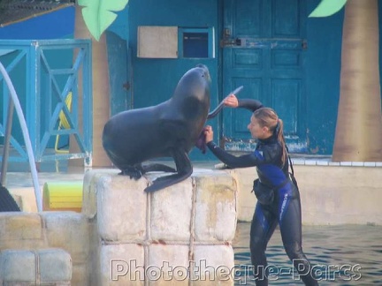 Marineland Antibes - 005