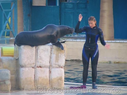 Marineland Antibes - 006