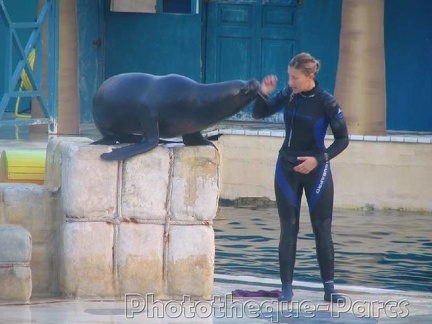 Marineland Antibes - 007