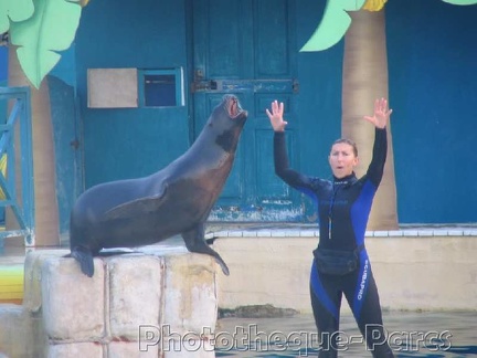 Marineland Antibes - 008