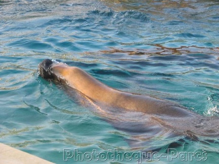 Marineland Antibes - 001