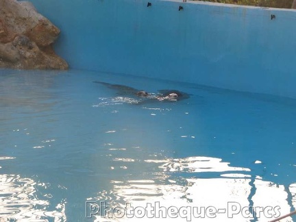 Marineland Antibes - 001