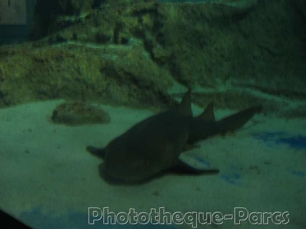 Marineland Antibes - 001