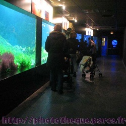 Marineland - Aquariums