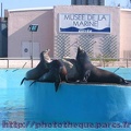 Marineland Antibes - 003