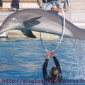 Marineland Antibes - 001