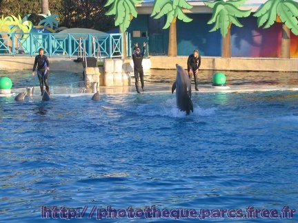 Marineland Antibes - 003