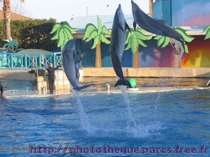 Marineland Antibes - 005