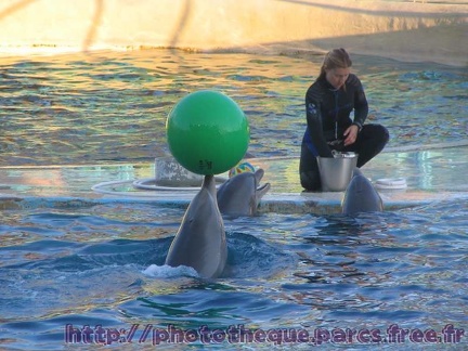 Marineland Antibes - 006