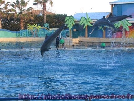 Marineland Antibes - 014