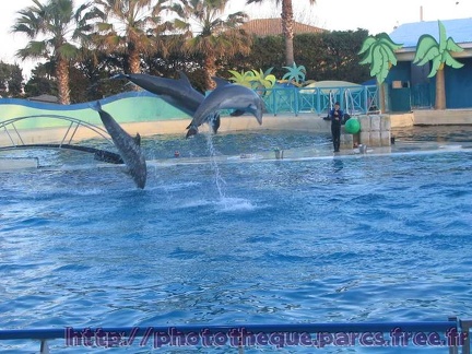 Marineland Antibes - 015