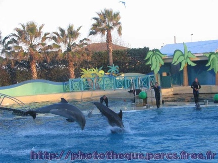 Marineland Antibes - 018