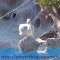 Marineland_Antibes_-_003.jpg