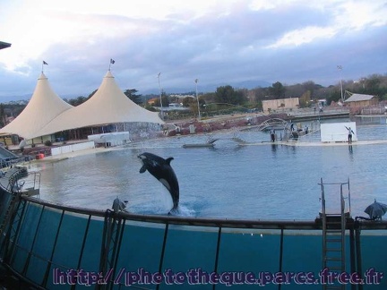 Marineland Antibes - 003