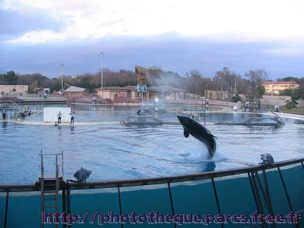 Marineland Antibes - 004