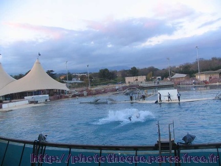 Marineland Antibes - 006