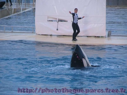 Marineland Antibes - 007