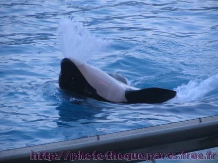 Marineland Antibes - 009