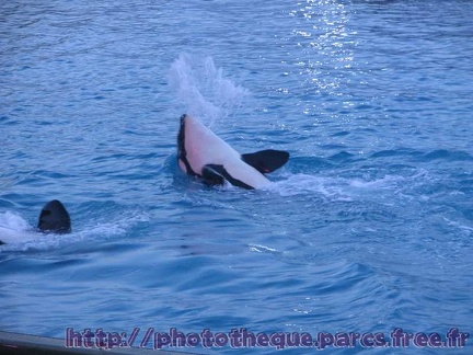 Marineland Antibes - 010