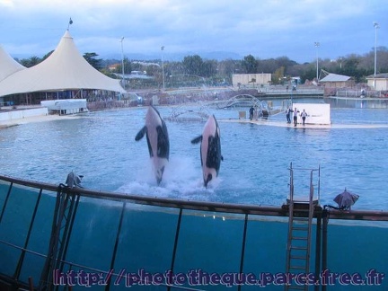 Marineland Antibes - 011