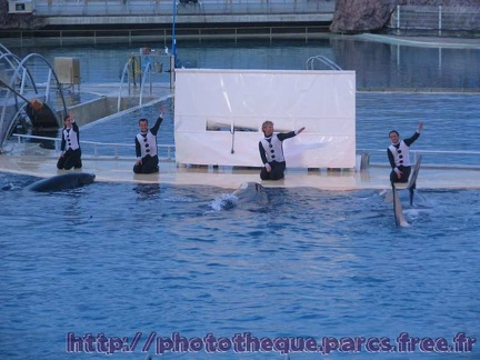 Marineland Antibes - 013