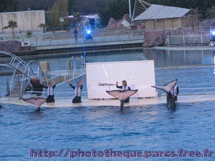 Marineland Antibes - 014