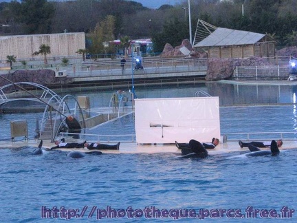 Marineland Antibes - 015