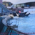 Marineland Antibes - 031