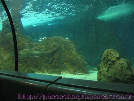 Marineland Antibes - 005