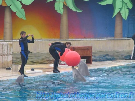 Marineland Antibes - 001