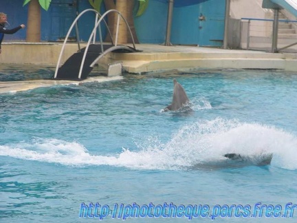 Marineland Antibes - 002